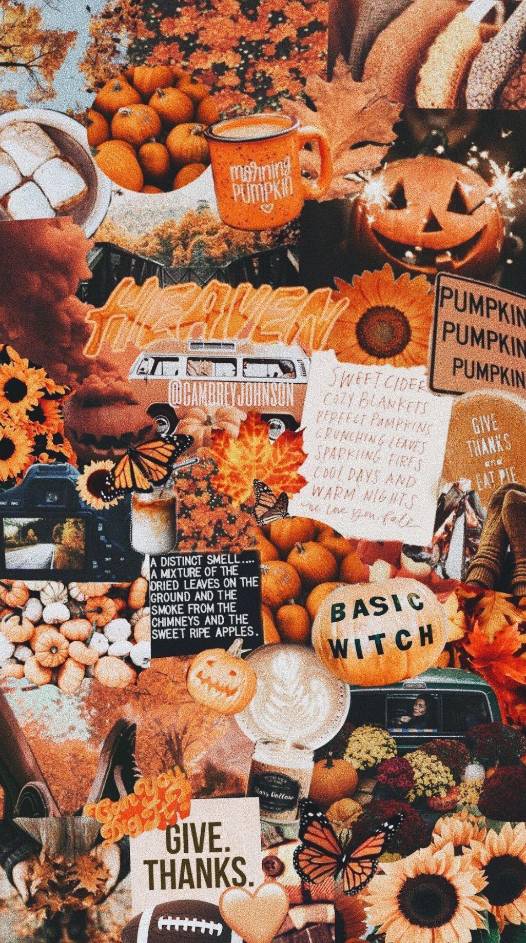 Fall Aesthetic iPhone Wallpaper.jpg