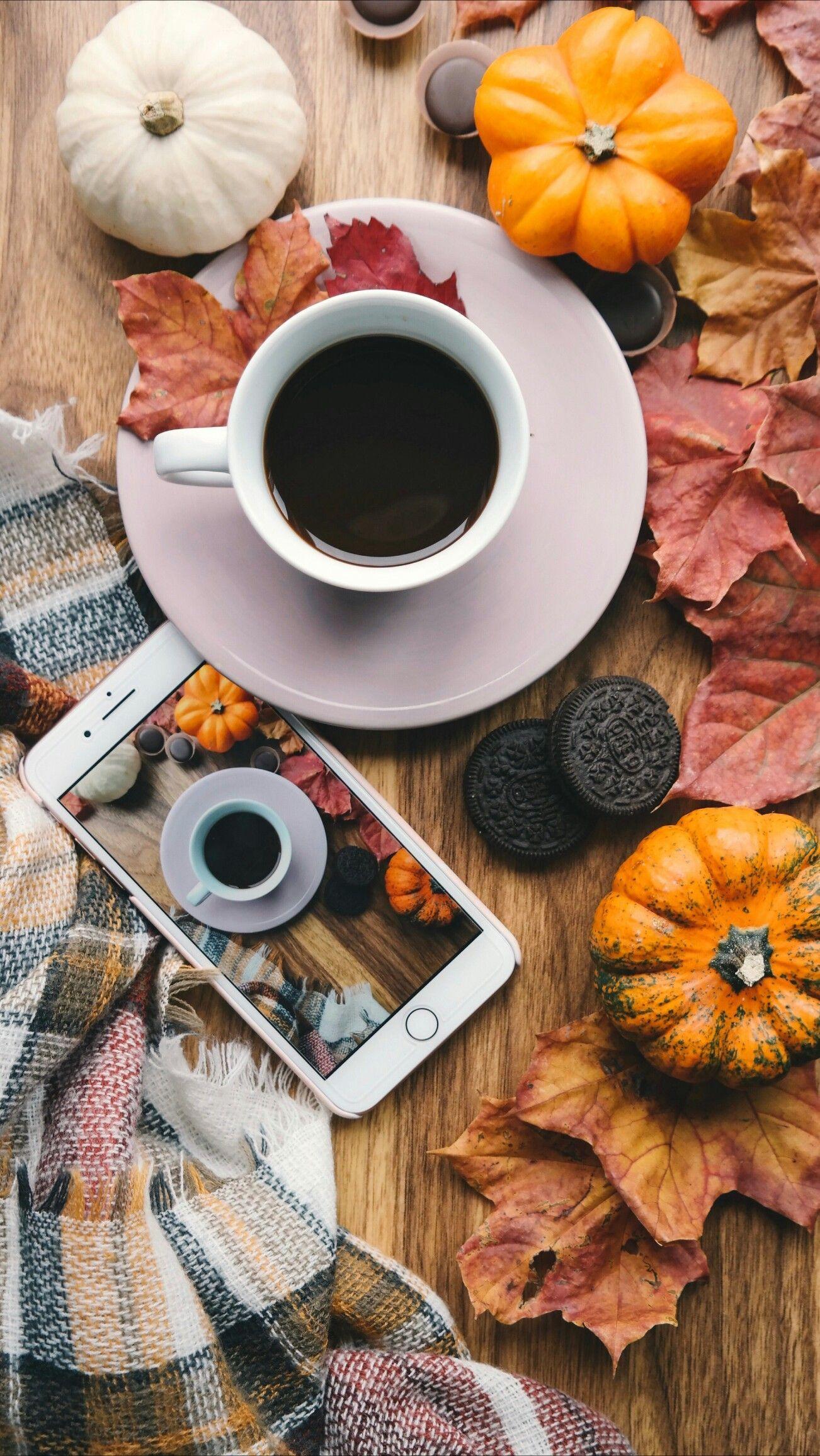 Fall Aesthetic iPhone Pictures.jpg