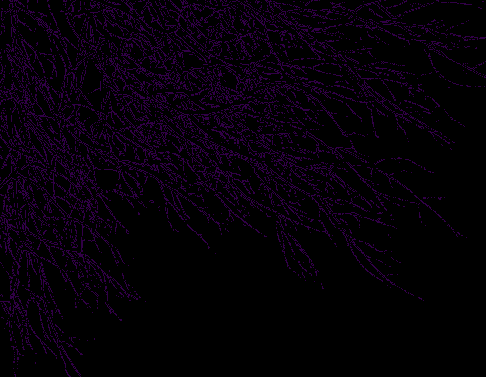 Dark Purple and Black wallpaper.png