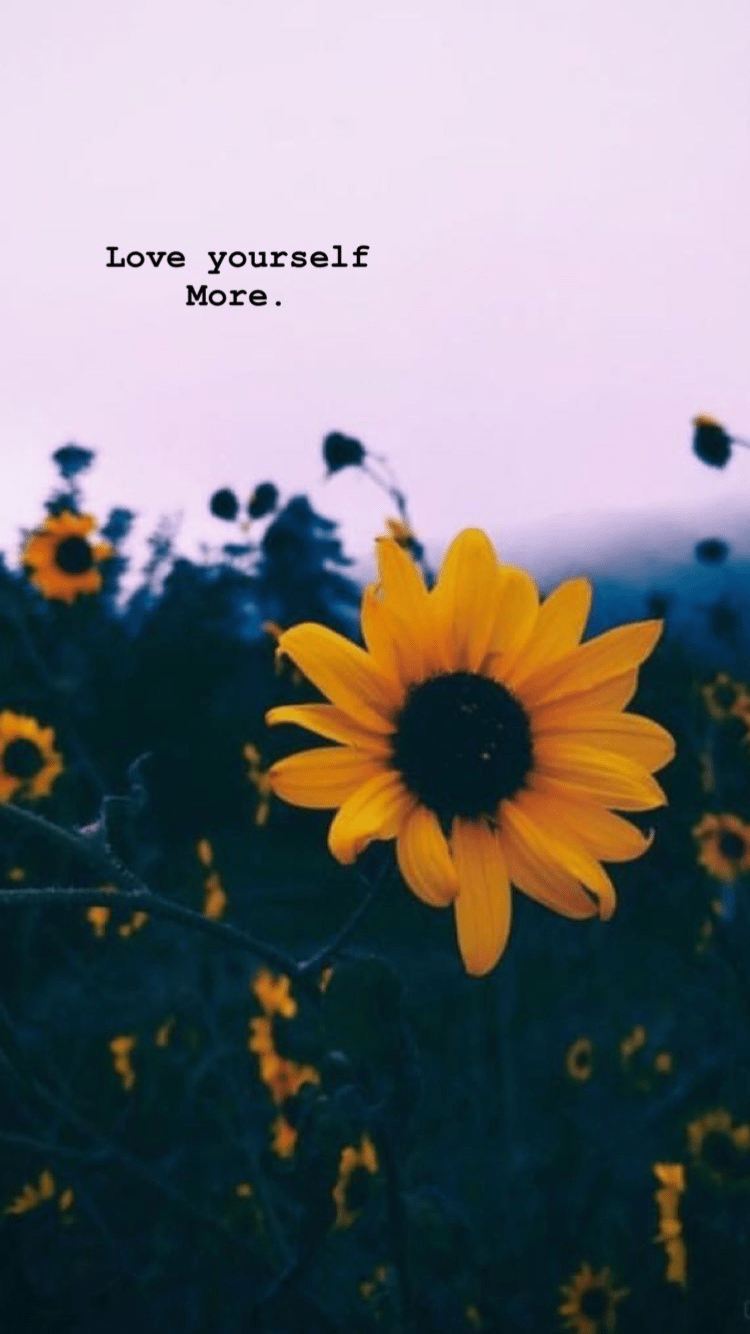 Cute Sunflower Image.png