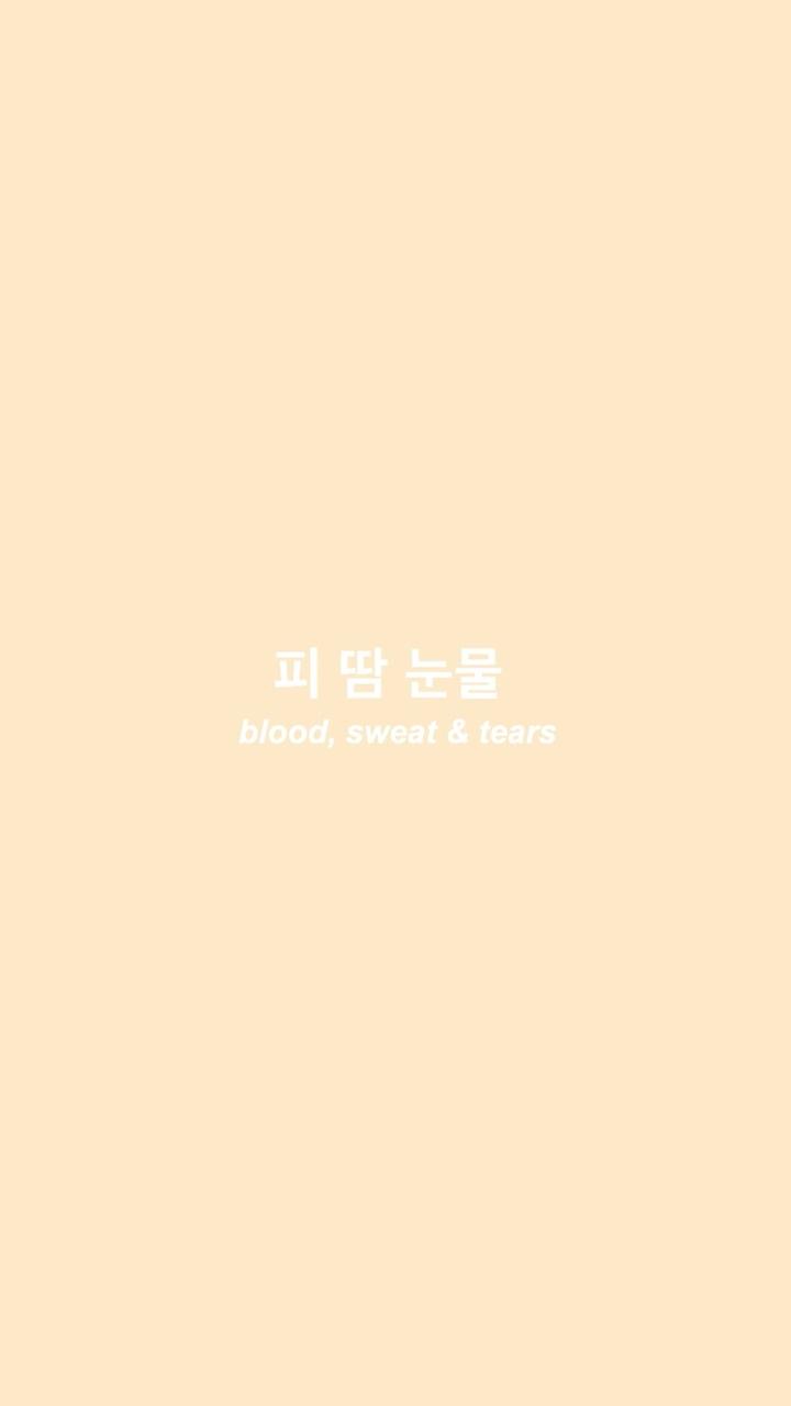 Tan Aesthetic Picture.jpg