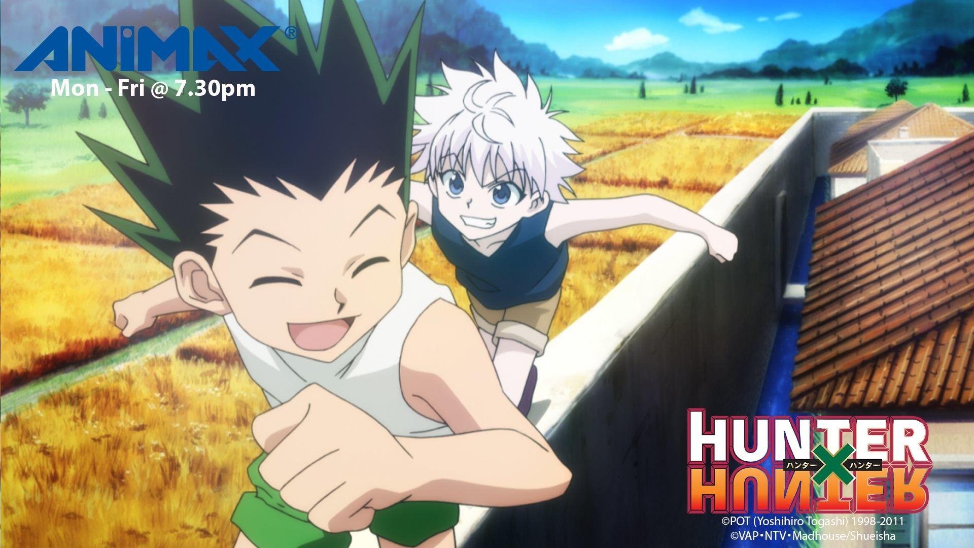 Gon and Killua Wallpapers.jpg