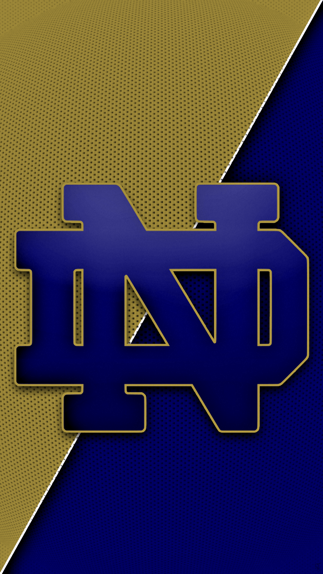 Notre Dame Images.png