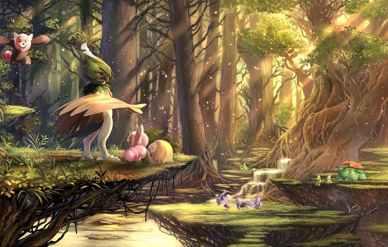 PokÃ©mon Forest picture.jpg