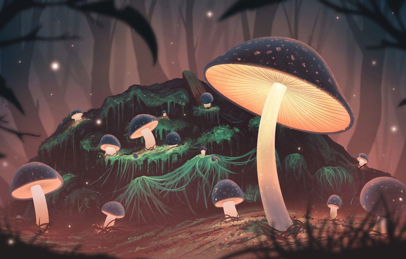 Mushroom Aesthetic Pictures.jpg