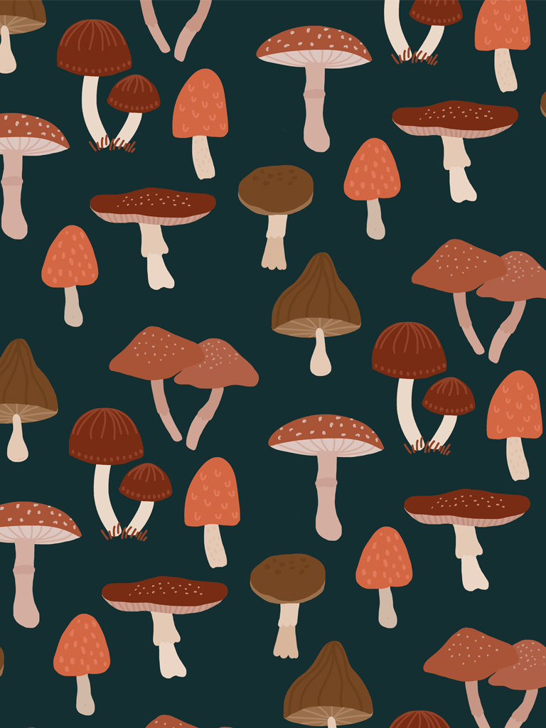 Mushroom Aesthetic Wallpapers.png
