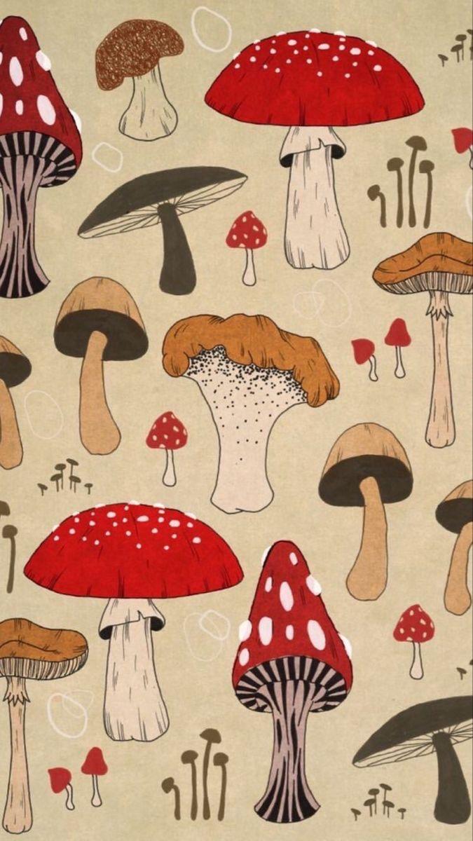 Mushroom Aesthetic Image.jpg