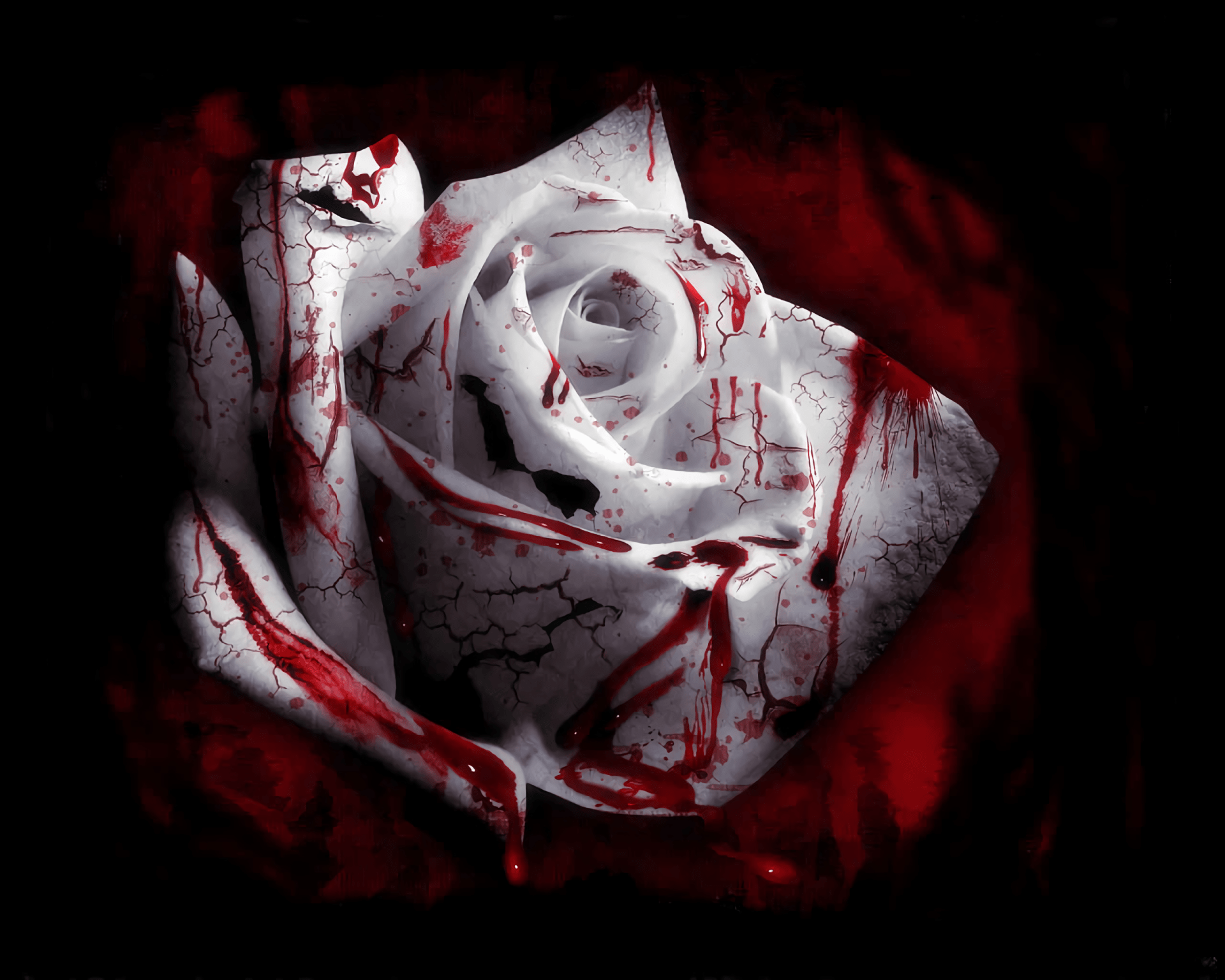 Blood+ Wallpaper.png