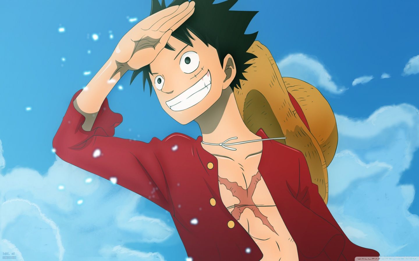 Luffy Photos.jpg