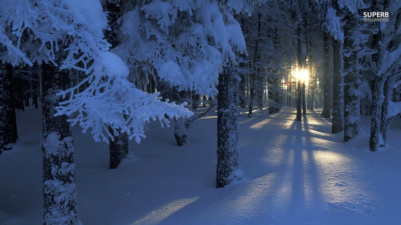 Winter Photo.jpg