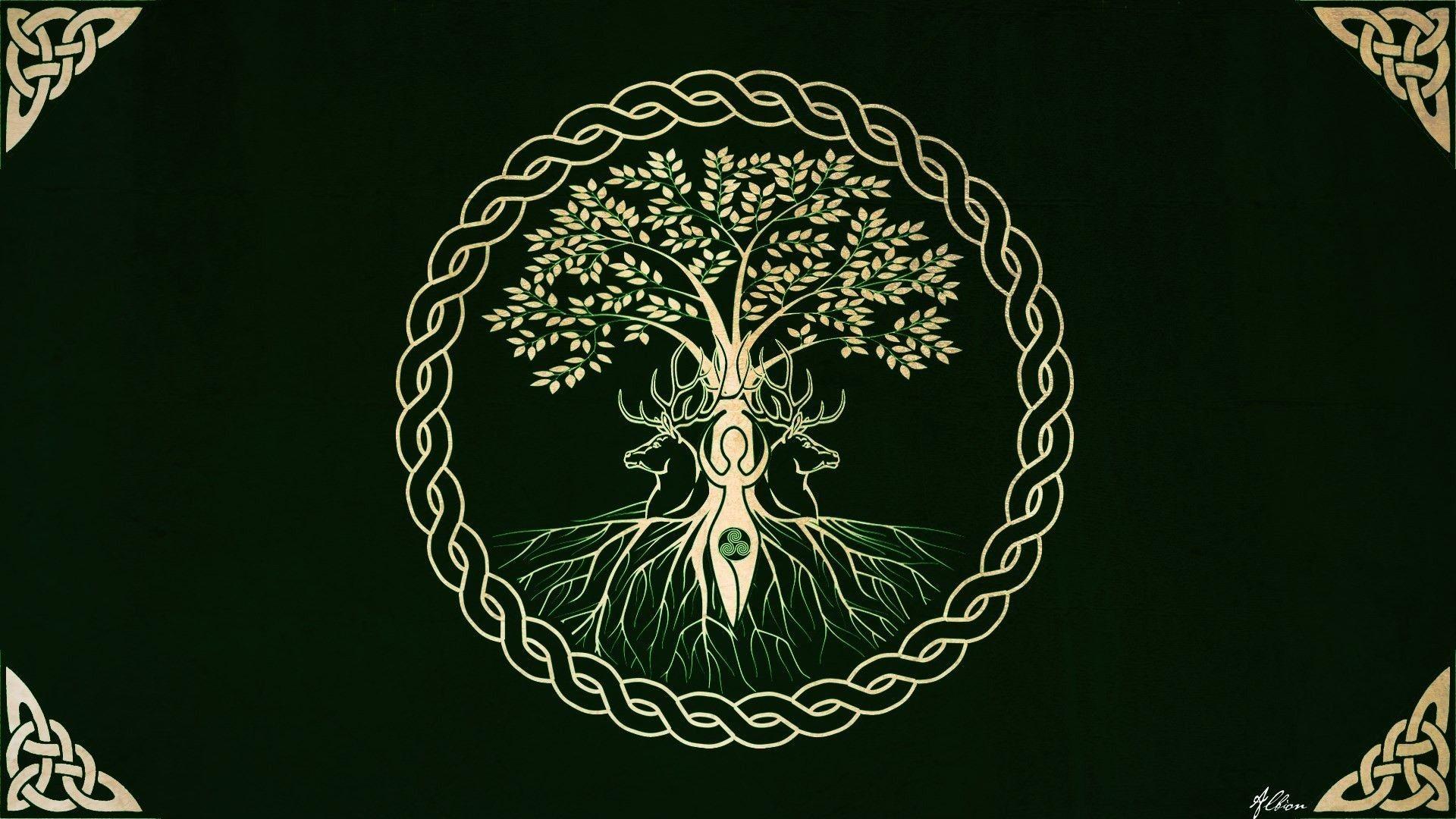 Norse Image.jpg