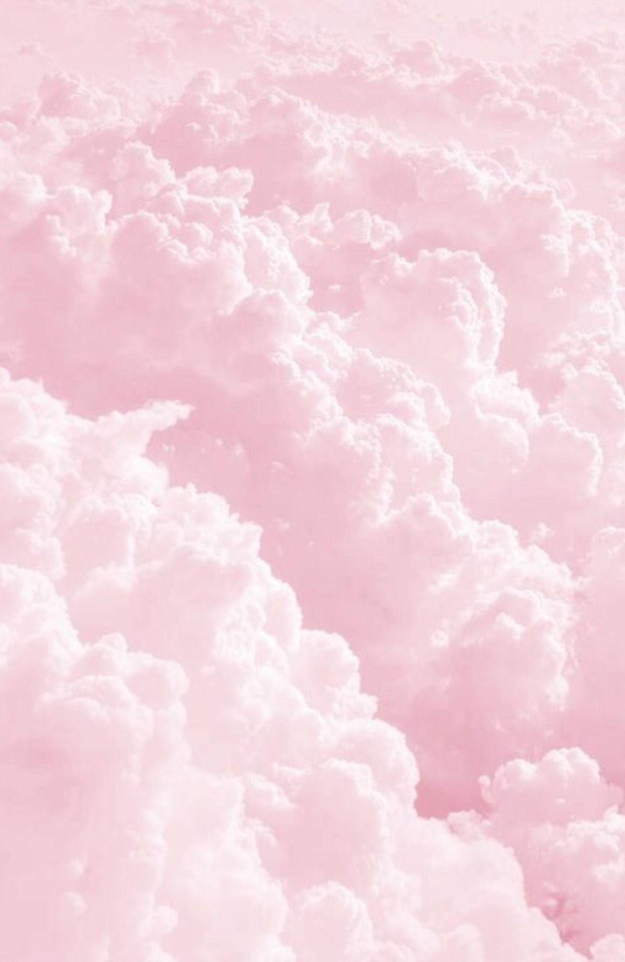 Pastel Pink Aesthetic photos.jpg