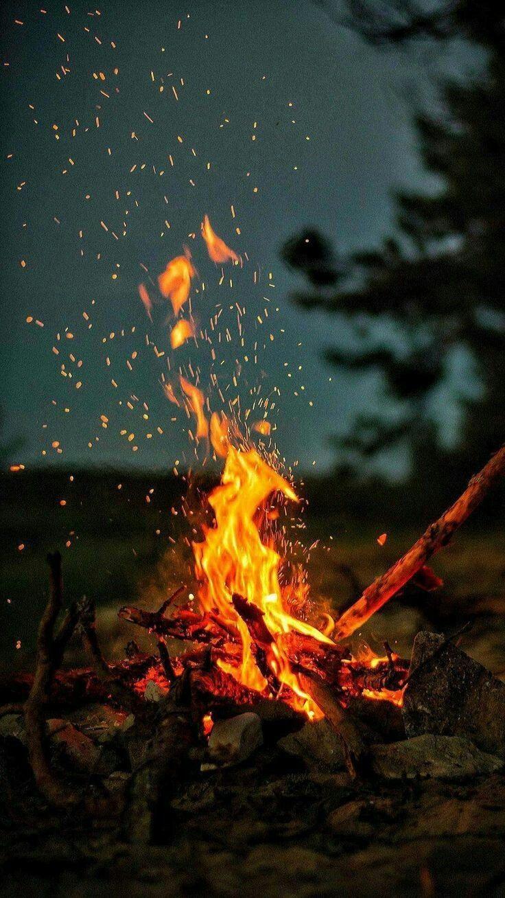 Cozy iPhone Wallpapers.jpg