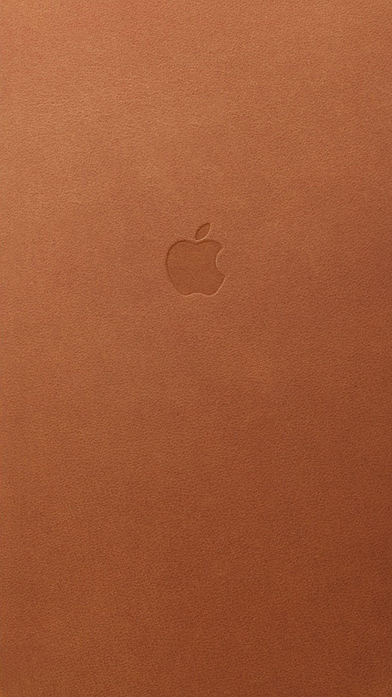 Brown iPhone Pic.jpg