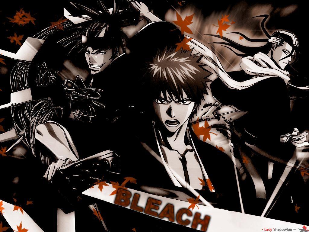 Bleach Anime pictures.jpg