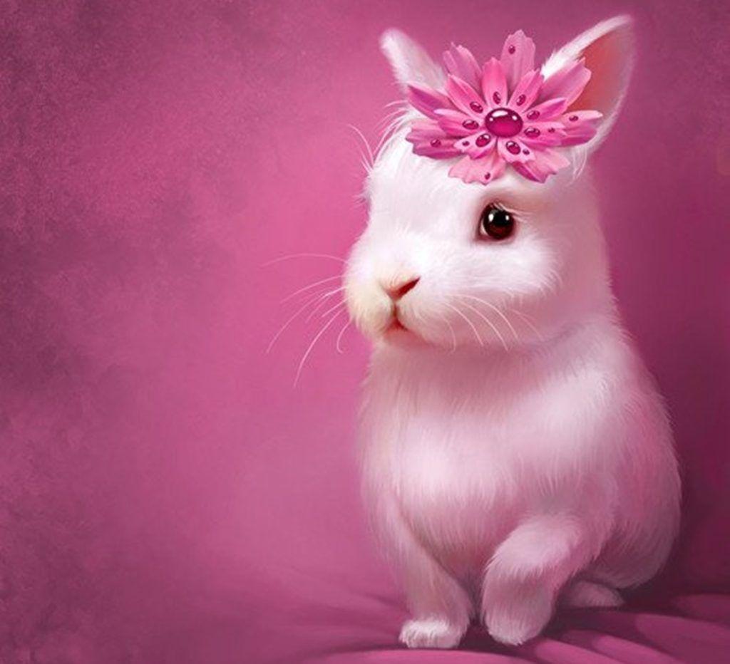 Cute Bunny Wallpapers.jpg