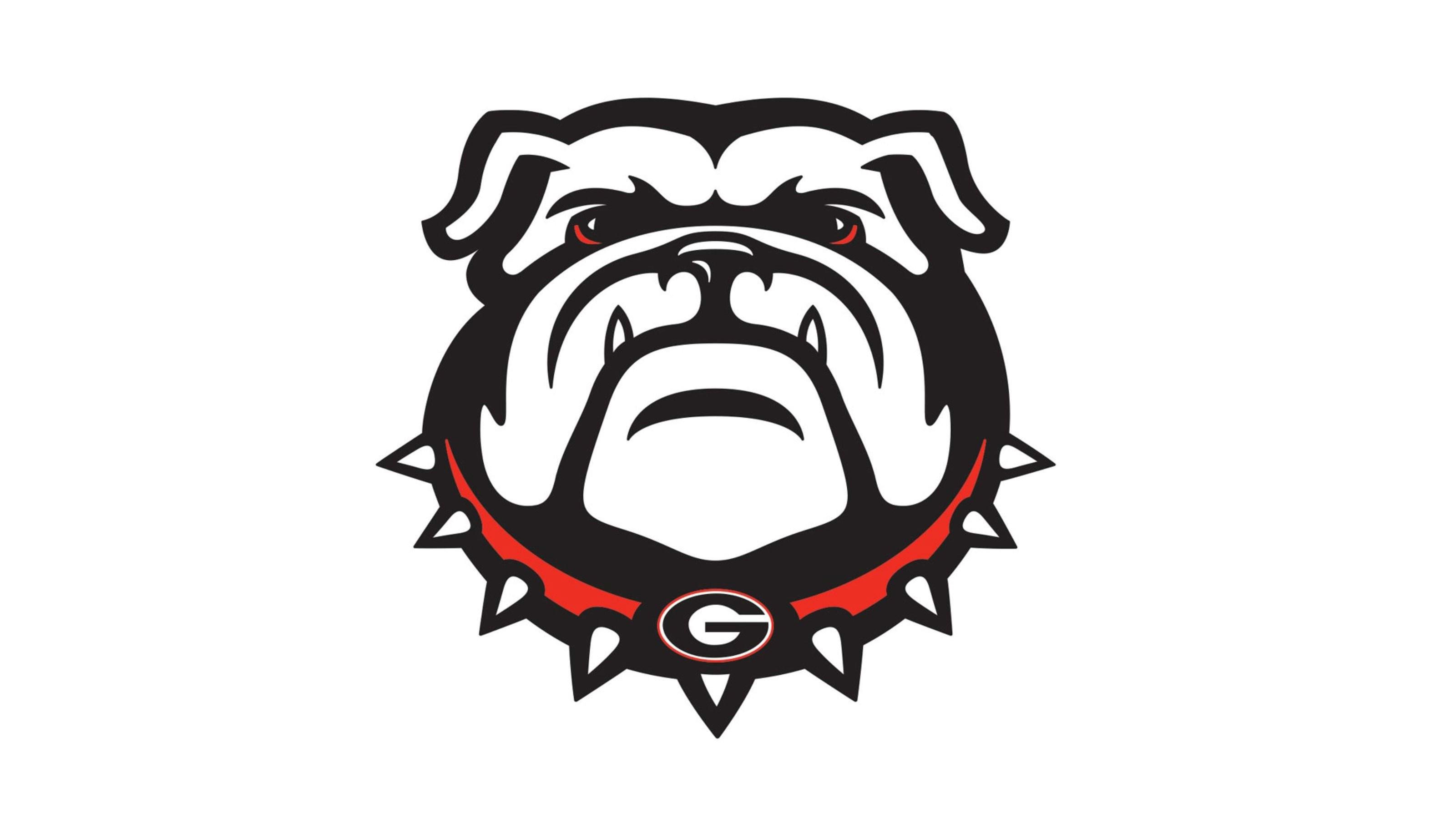 Georgia Bulldogs picture.jpg