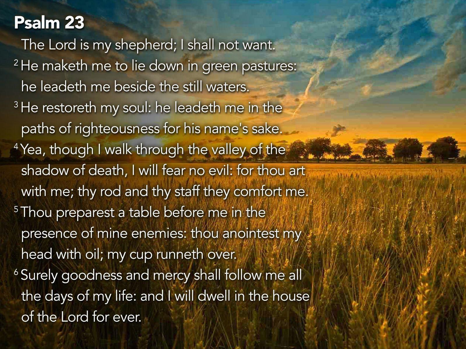 Psalm 23 Desktop Image.jpg