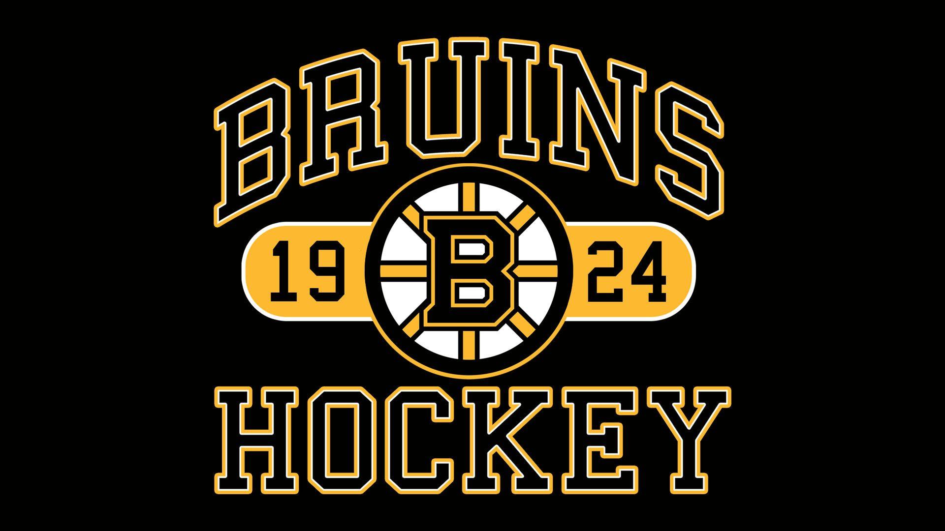 Boston Bruins Picture.jpg