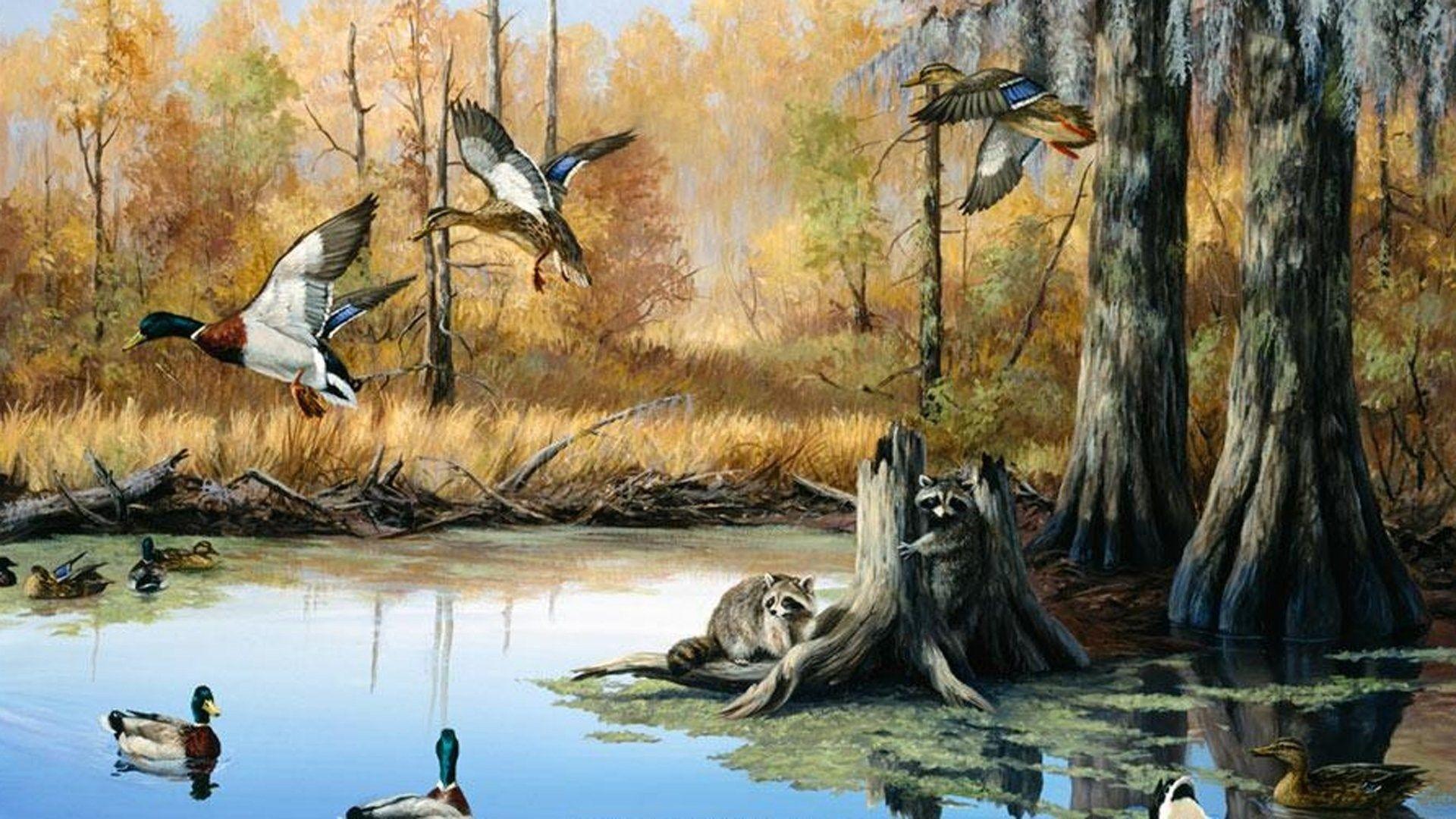 Duck Hunting Desktop Images.jpg