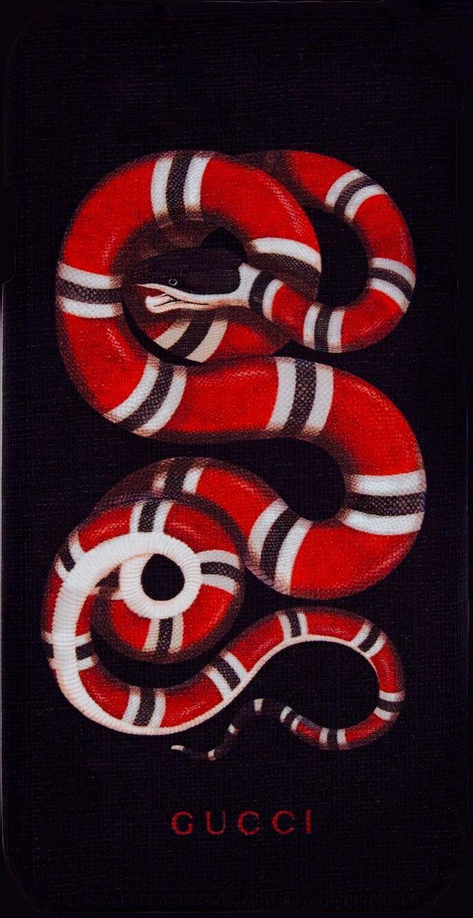 Gucci iPhone Images.jpg