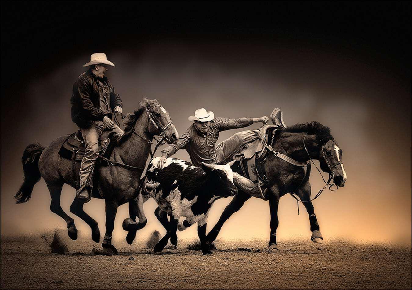Rodeo Picture.jpg
