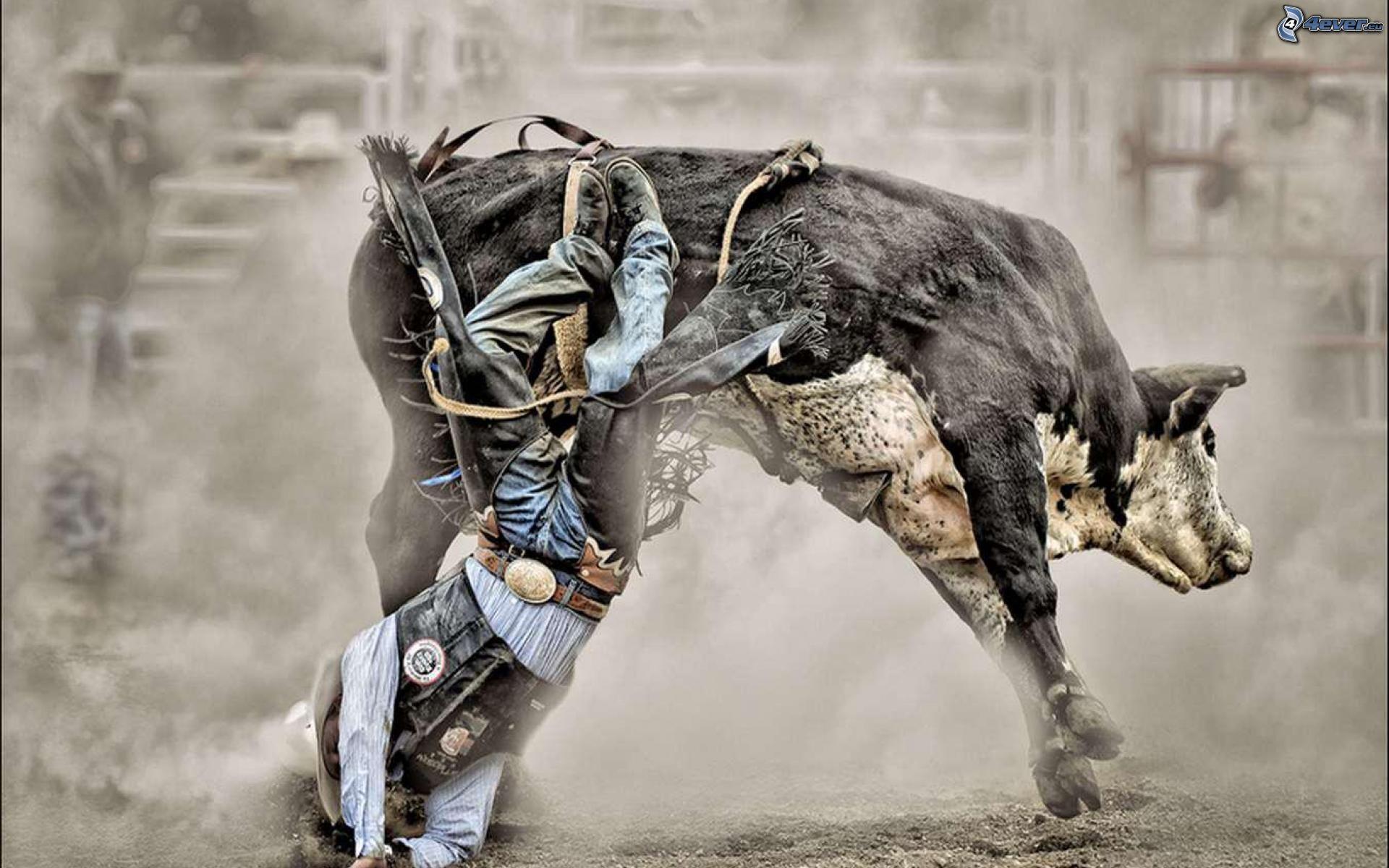 Rodeo Image.jpg