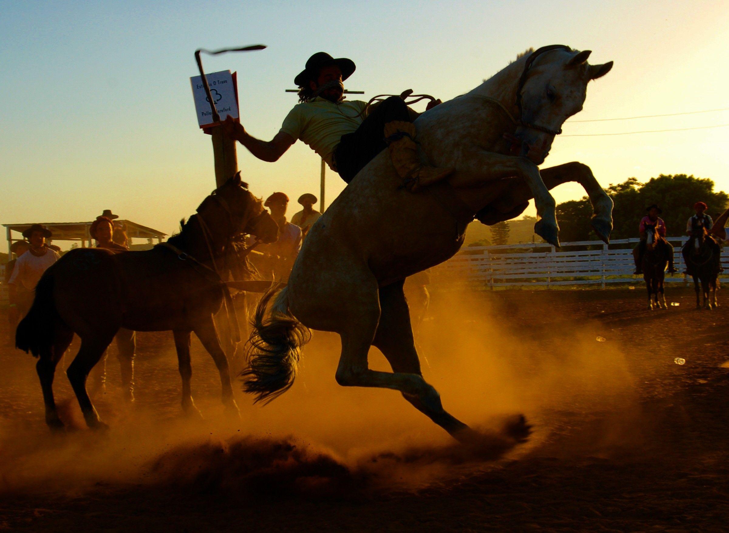 Rodeo Images.jpg
