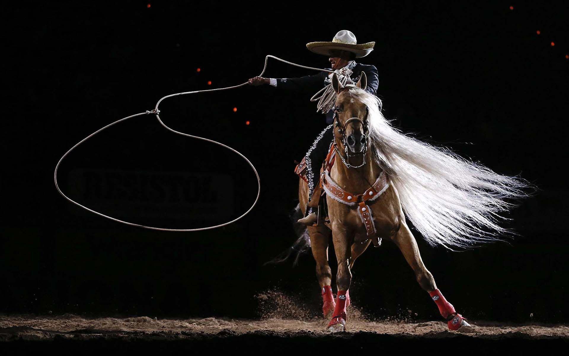Rodeo Wallpaper.jpg