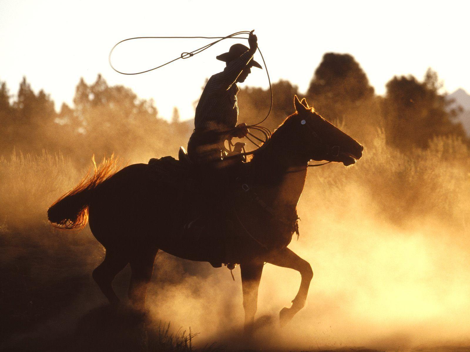 Rodeo Pictures.jpg